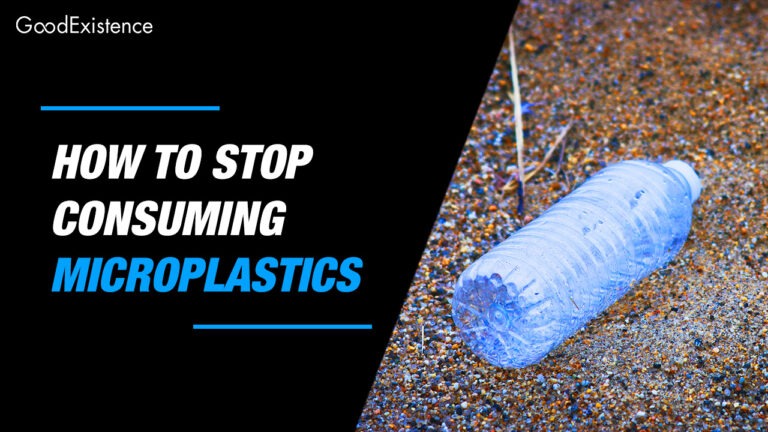 How to stop consuming microplastics