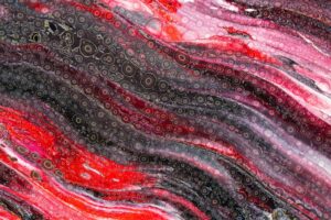 Epic News Alert: Cells in Human Body Capable of Learning like Brains