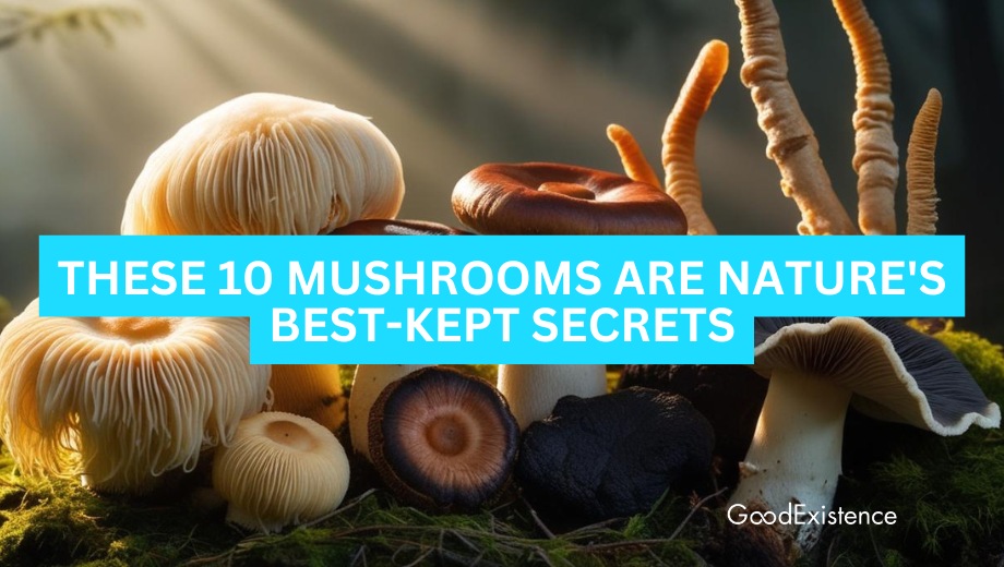 These 10 Traditional Mushrooms Are Nature's Best-Kept Secrets