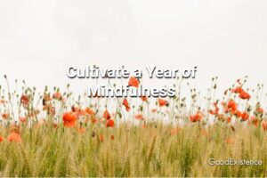 Cultivate a Year of Mindfulness