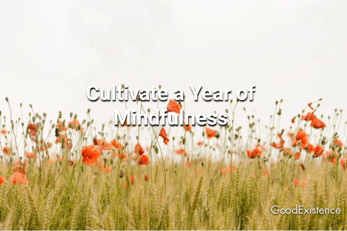 Cultivate a Year of Mindfulness
