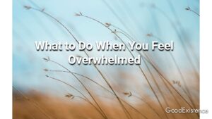 What to Do When You Feel Overwhelmed