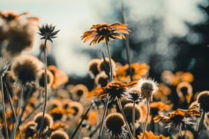 How to Have a Life That Gets Better Every Day