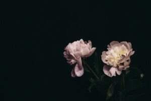 8 Best Essential Oils for Depression and Anxiety