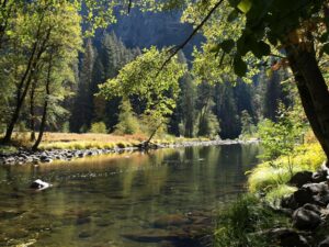 25 Quotes About Rivers and Streams