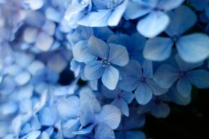 25 Spring Goals for a Fresh Start