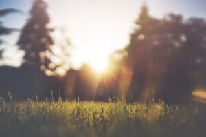 25 Summer Quotes to Celebrate the Season