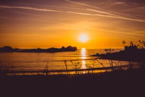 20 Sun and Sunshine Quotes