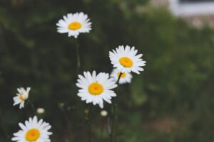 7 Little Habits That Can Change Your Life