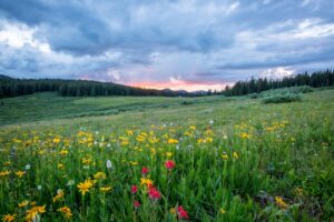 25 Refreshing Spring Quotes