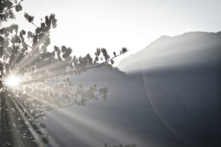 20 Quotes About New Beginnings