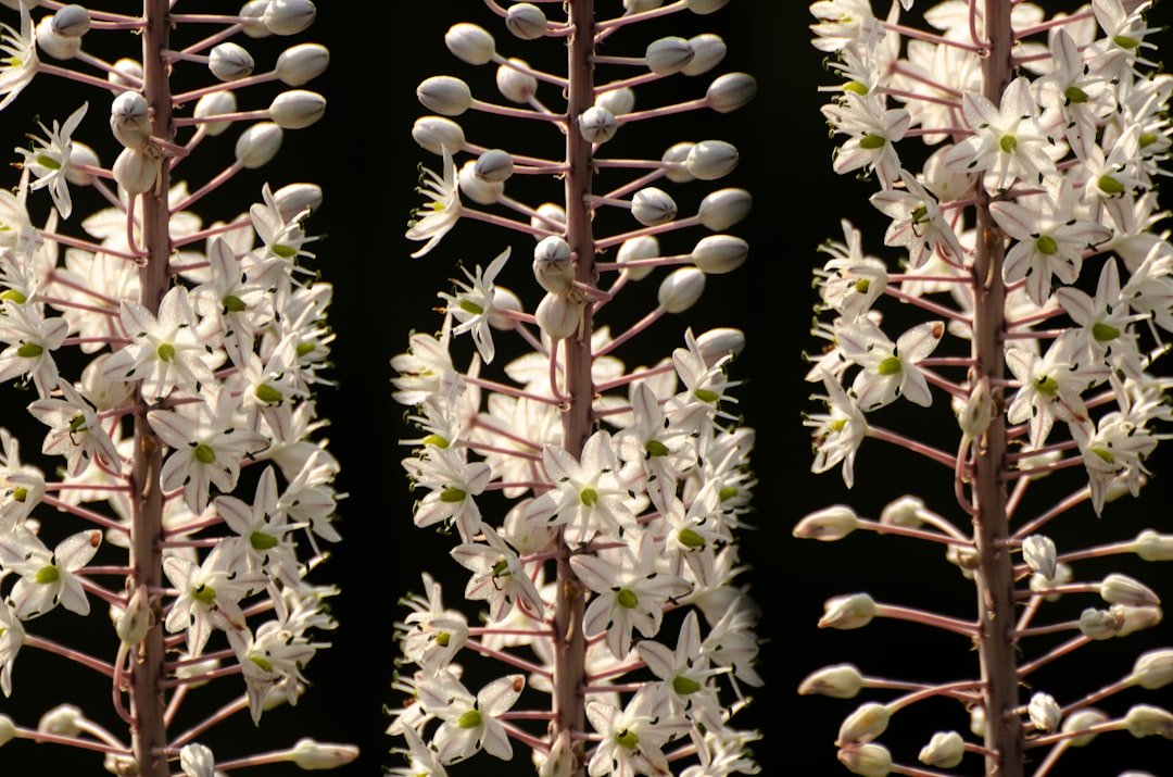 20 Quotes About Blooming and Growth