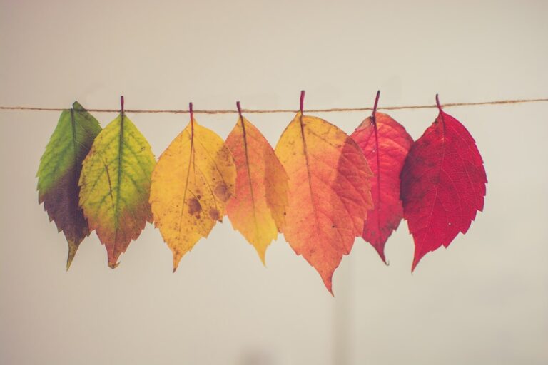 25 Affirmations About Change and Growth