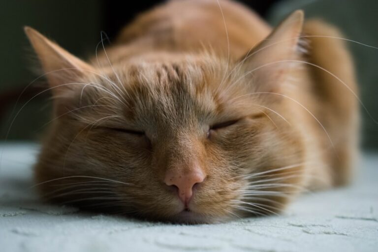 11 Ways to Decompress High Stress