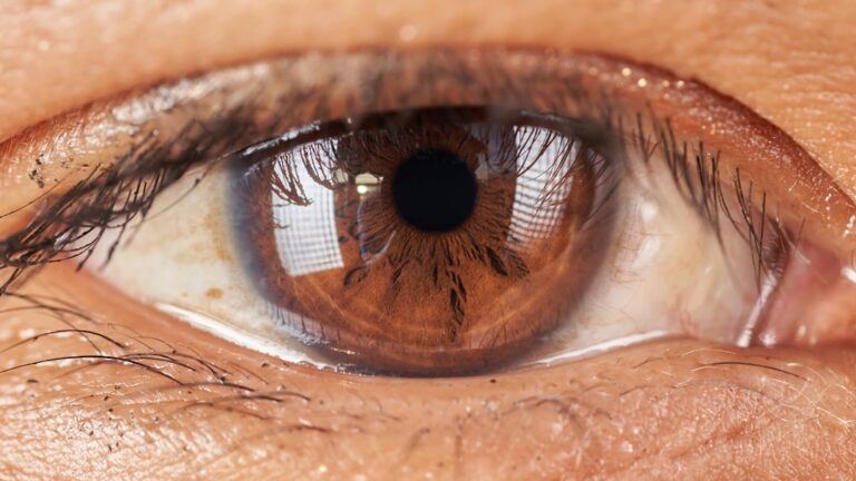 25 Quotes About Eyes and Vision