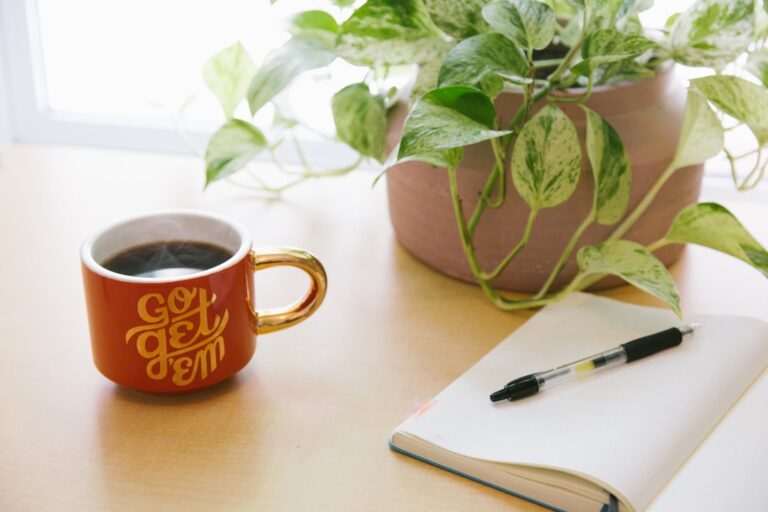 40 Gratitude Quotes to Warm Your Heart