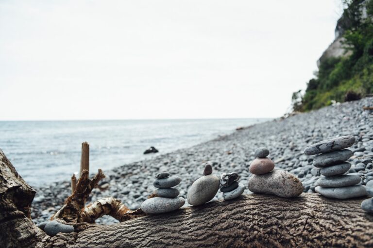 20 Saturday Quotes for Weekend Vibes