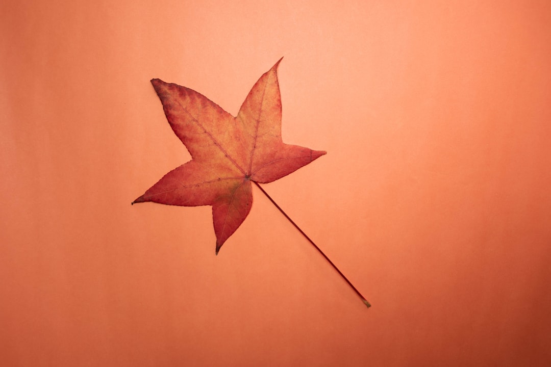 25 Quotes About Imagination