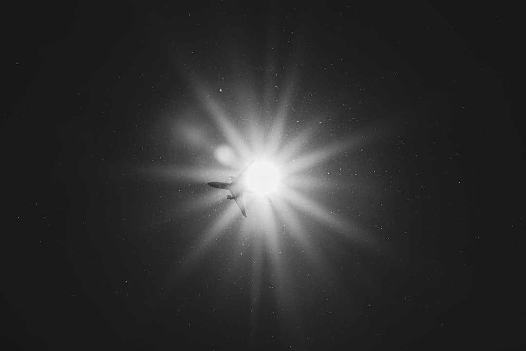 30 Quotes About Light and Positivity