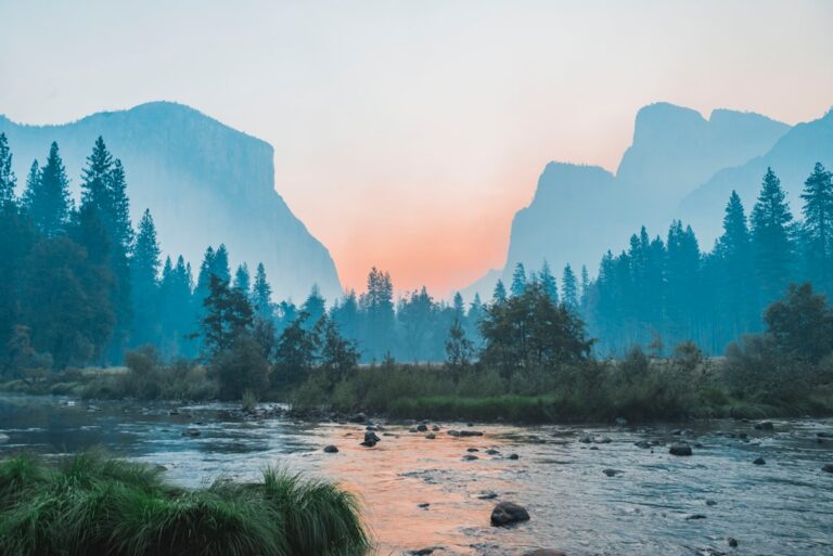 20 Good Morning Quotes for a Fresh Start