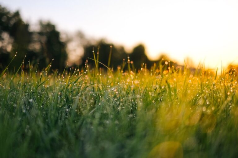 30 Humanity Quotes for Compassion