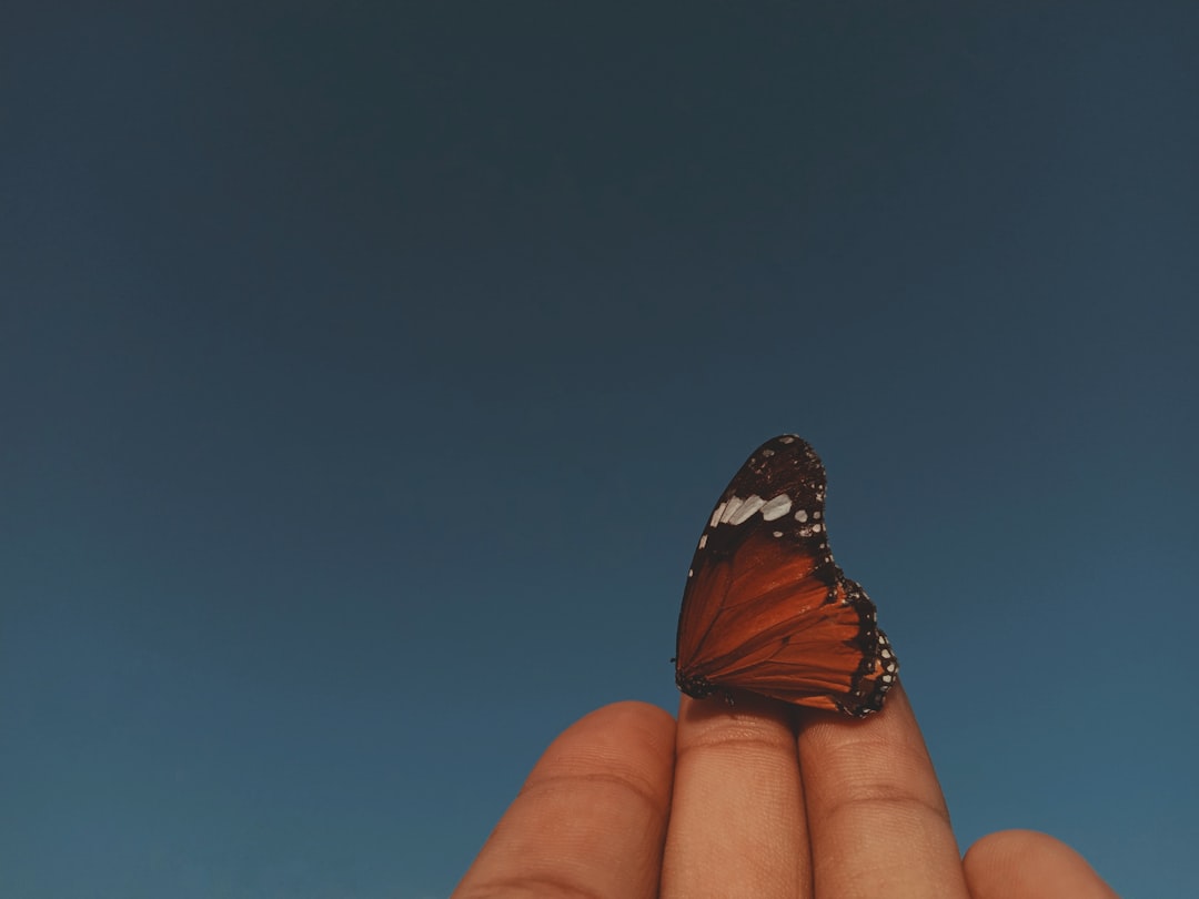 How to Overcome Insecurities