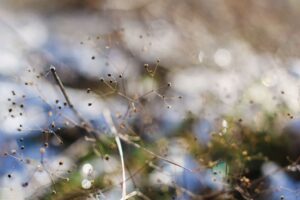 25 Priority Quotes for Effective Living