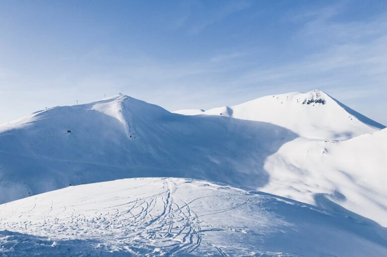 20 Quotes About Snow and Winter Wonder