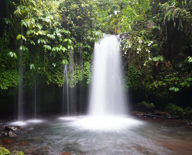 25 Waterfall Quotes for Serenity