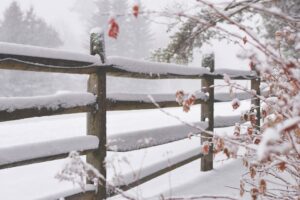 25 Winter Quotes for Seasonal Reflection