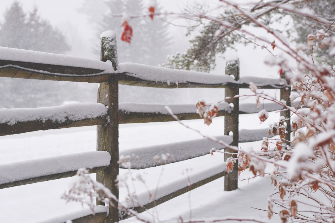 25 Winter Quotes for Seasonal Reflection