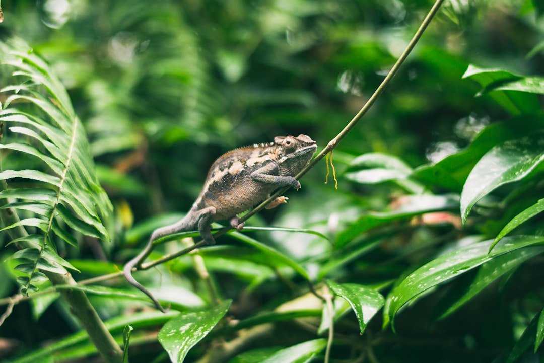 15 Quotes on the Importance of Adaptability