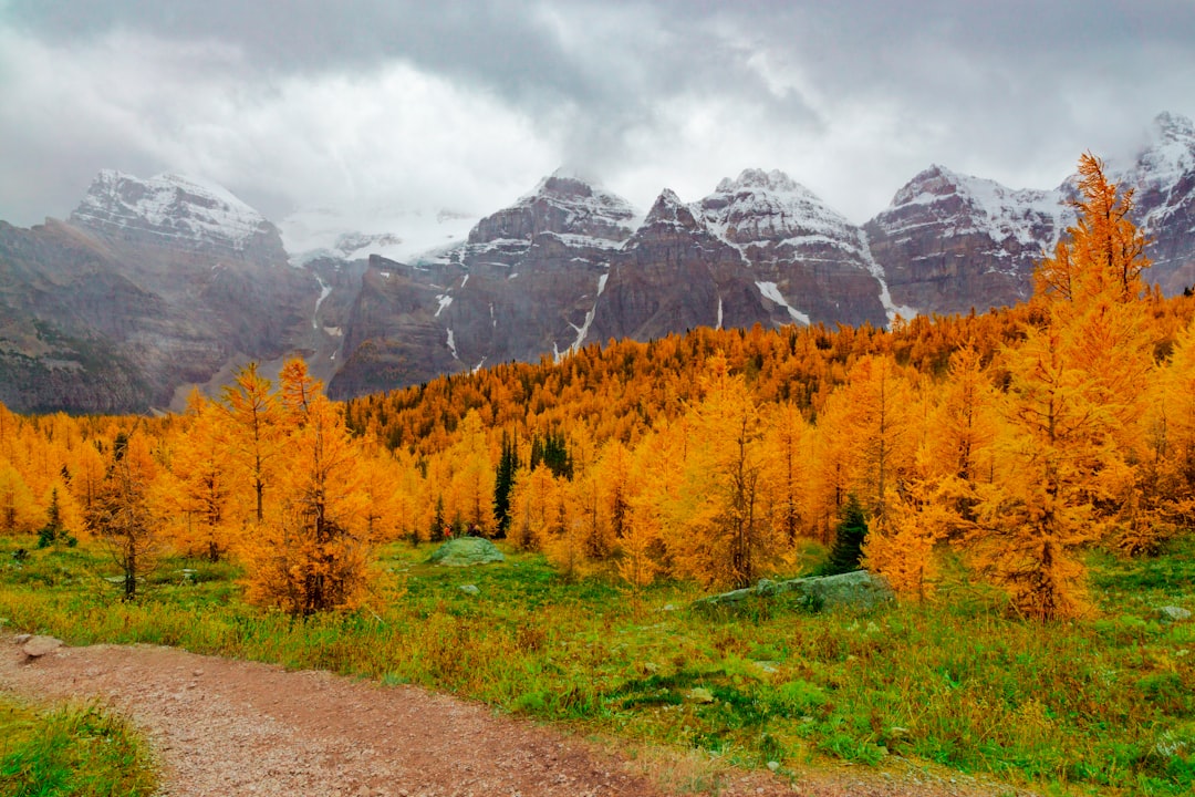 10 Ways to Embrace Change