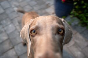 8 Techniques for Enhancing Your Focus