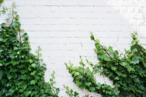 25 Quotes to Inspire Personal Growth