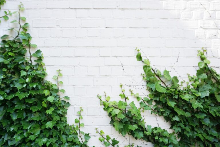 25 Quotes to Inspire Personal Growth