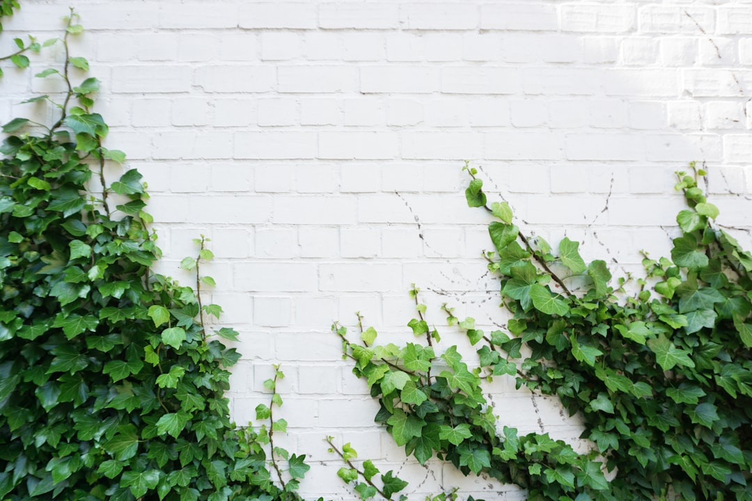 25 Quotes to Inspire Personal Growth