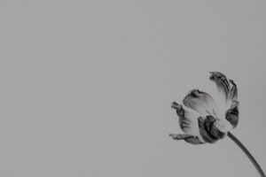 12 Tips for Building Mental Toughness