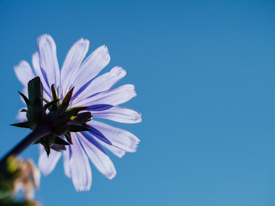 20 Morning Journal Prompts for Clarity