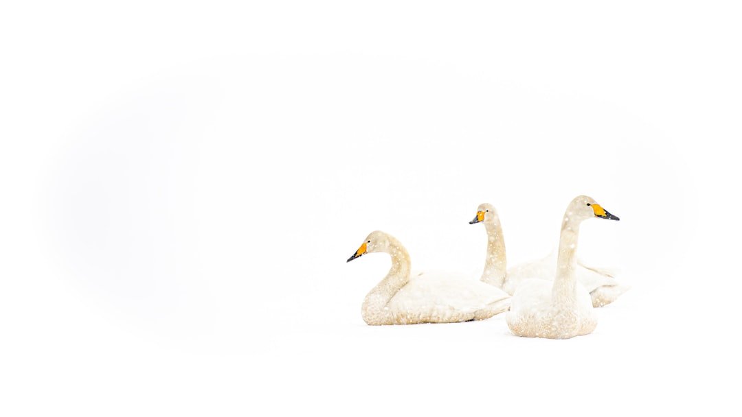 10 Ways to Overcome Negative Thinking