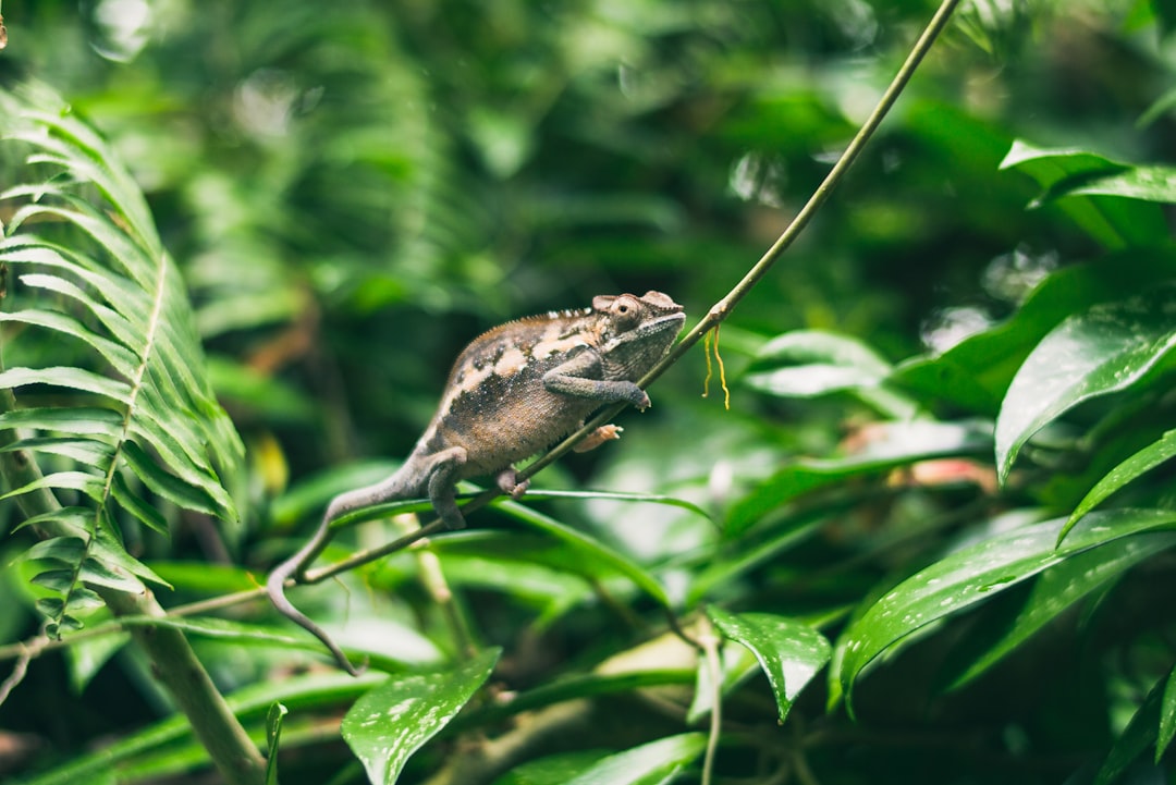 20 Tips for Becoming More Adaptable