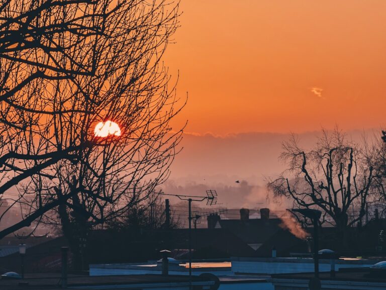 12 Ways to Create a Calm Morning Routine