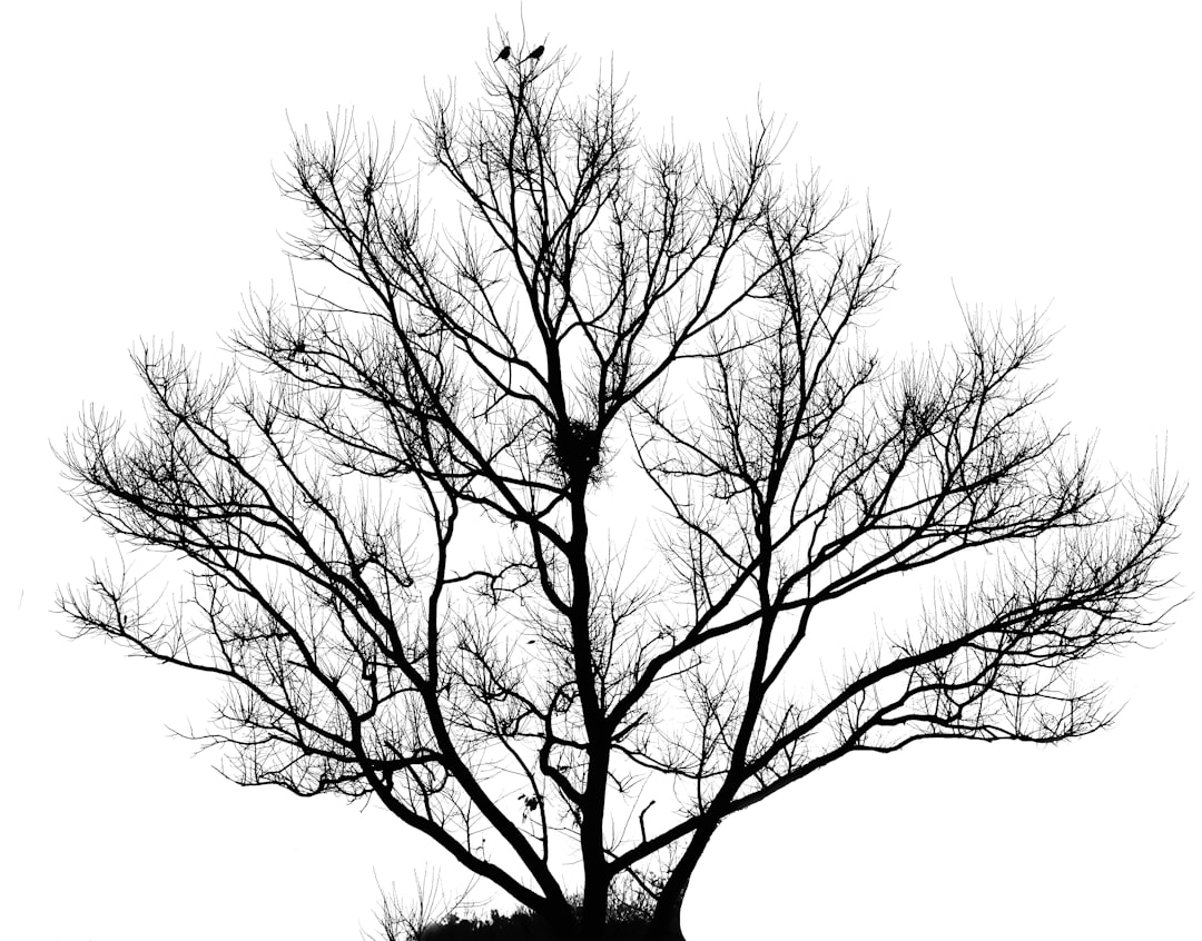 20 Decision Tree Methods