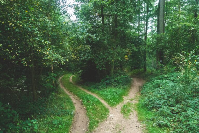 20 Rapid Decision Making Frameworks