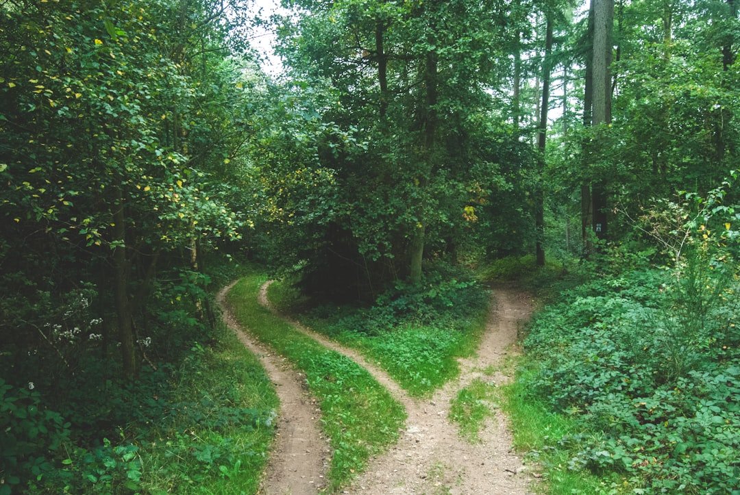 20 Rapid Decision Making Frameworks