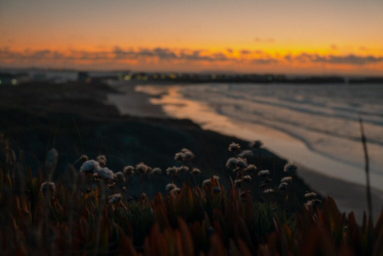 12 Tips for a Digital Detox This Summer