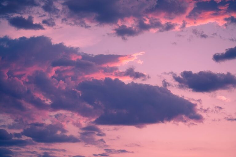 20 Quotes About Evening Success