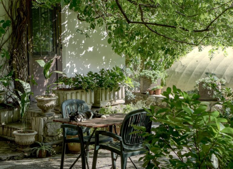 20 Garden Hacks for Beginners