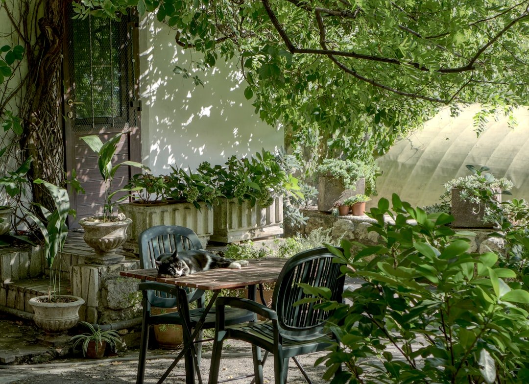 20 Garden Hacks for Beginners