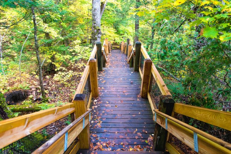 20 Quotes About the Journey to Success